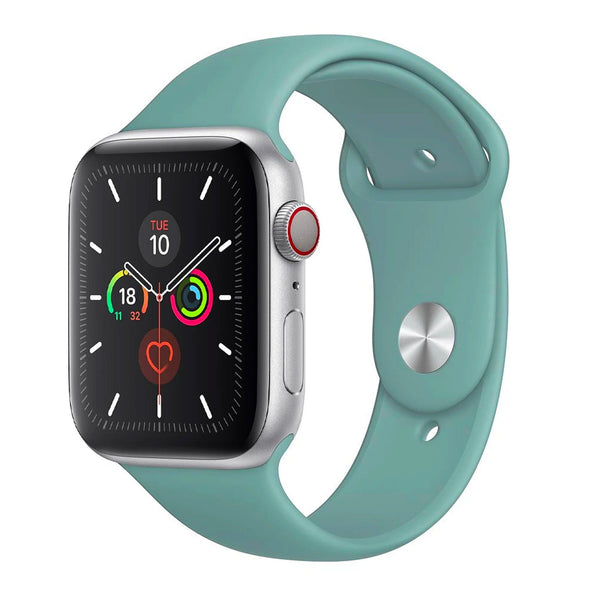 Apple watch 2024 se cactus band